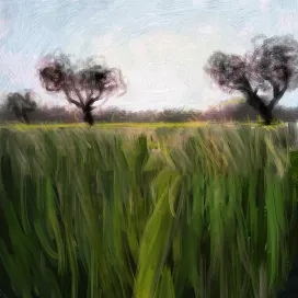 Oil Paint Photoshop Brushes